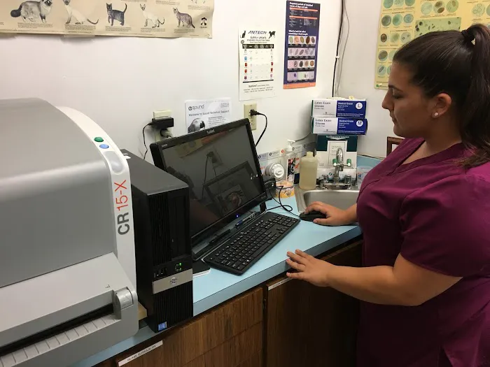 Annadale Veterinary Clinic Picture 1
