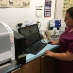 Annadale Veterinary Clinic