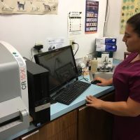 Annadale Veterinary Clinic ico