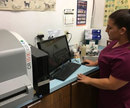 Annadale Veterinary Clinic