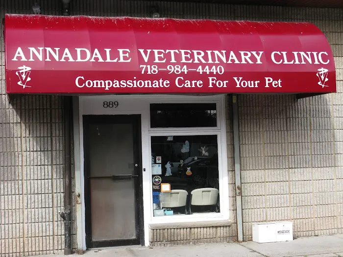 Annadale Veterinary Clinic Picture 3
