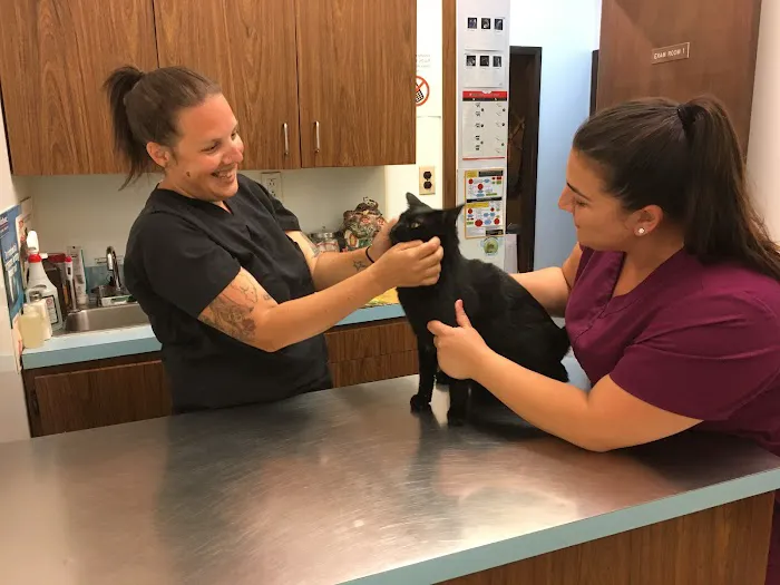 Annadale Veterinary Clinic Picture 5