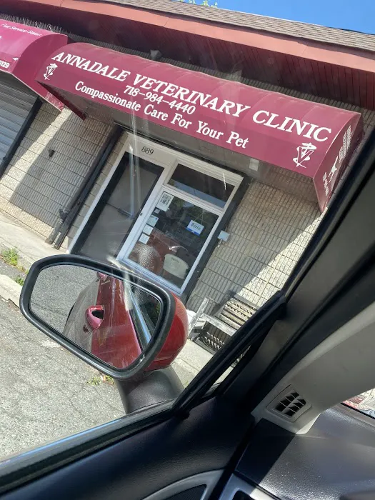 Annadale Veterinary Clinic Picture 2