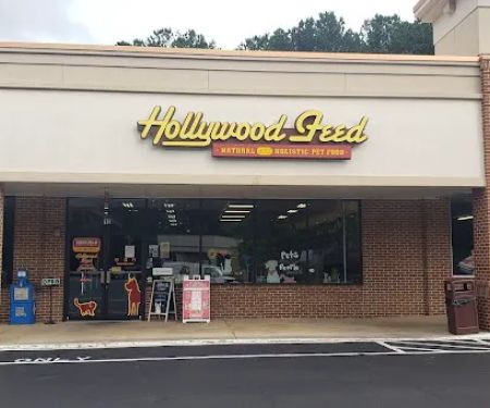 Hollywood Feed