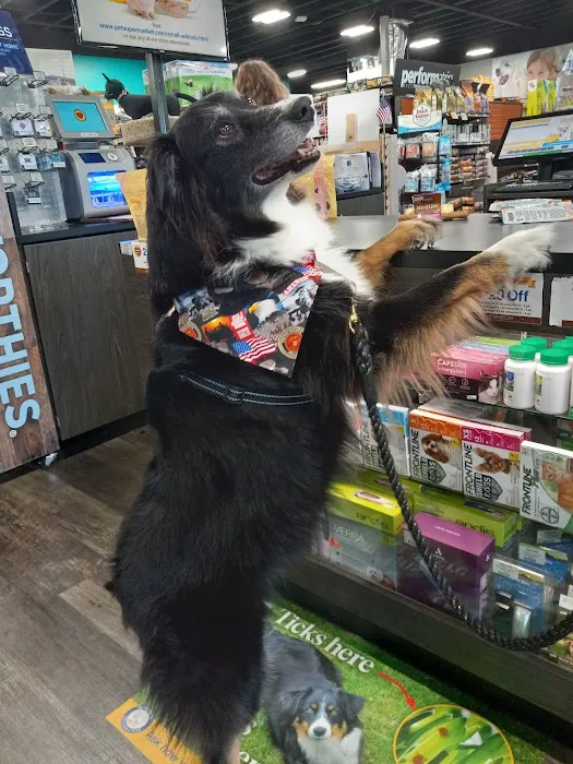 Pet Supermarket Picture 4