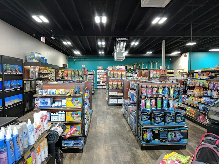 Pet Supermarket Picture 7