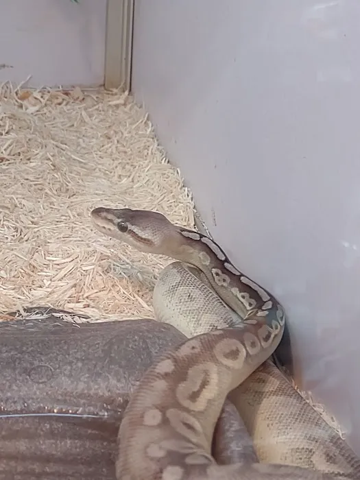Pet Supermarket Picture 6
