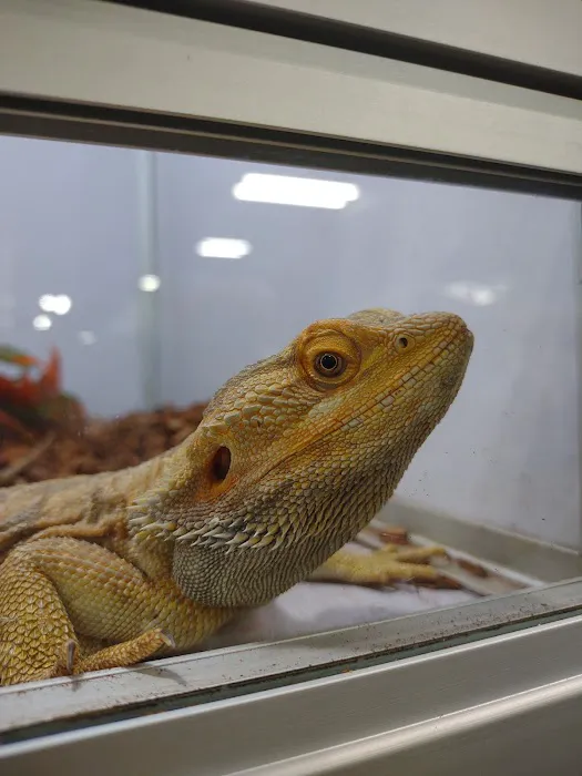 Pet Supermarket Picture 8