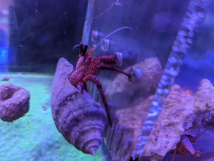 Off The Hook Marine Fish Picture 8