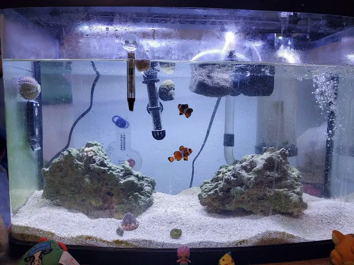 Off The Hook Marine Fish Picture 10