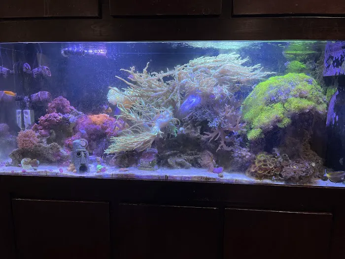 Off The Hook Marine Fish Picture 5