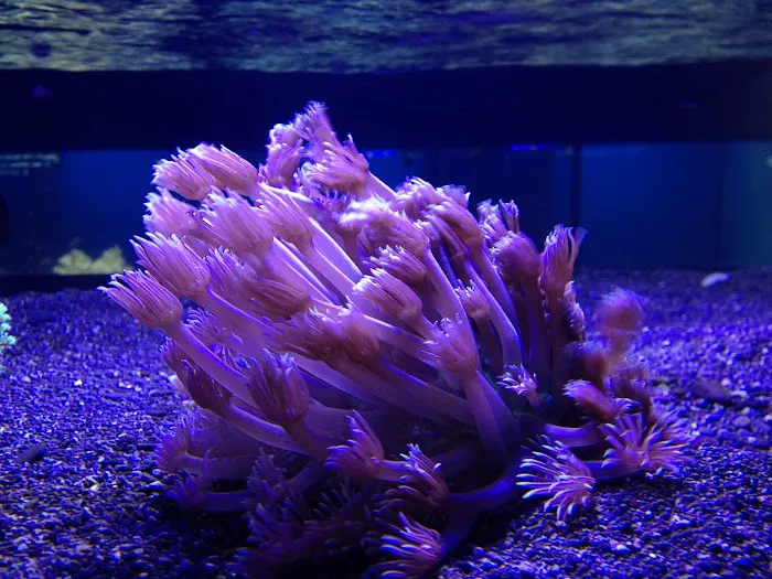Off The Hook Marine Fish Picture 7
