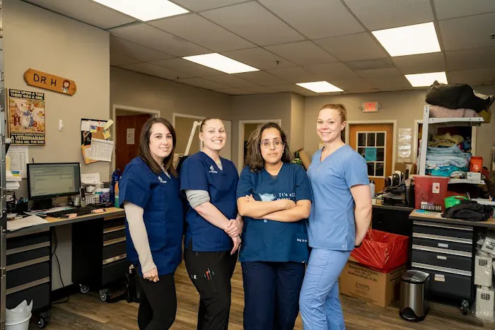 The Animal Hospital of Linden Picture 6