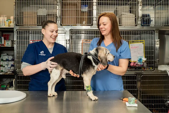 The Animal Hospital of Linden Picture 8