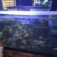 Fish Bowl & More ico