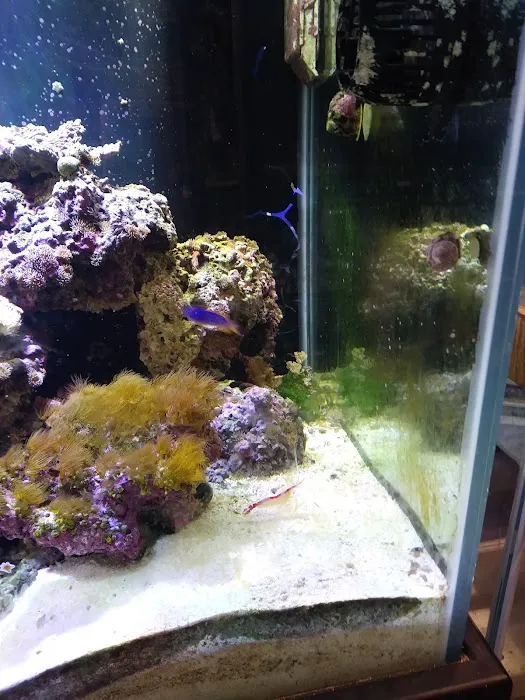 Fish Bowl & More Picture 3