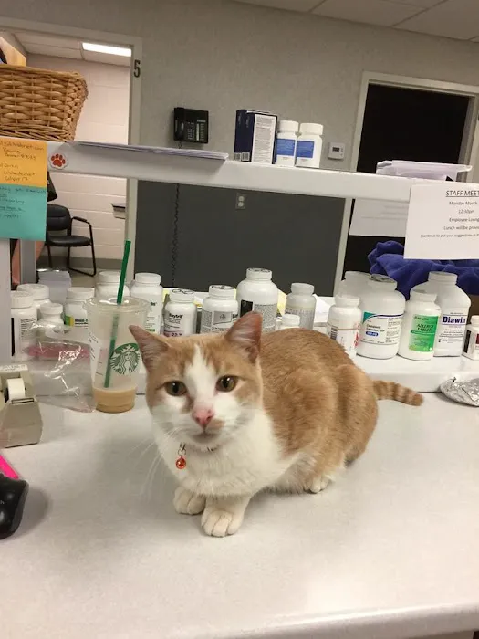 Colchester Veterinary Hospital Picture 7