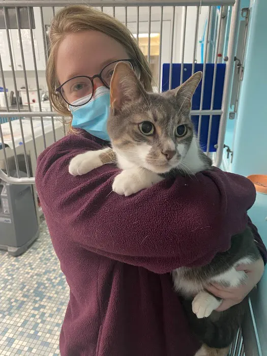 Northeastern Veterinary Care Center Picture 1