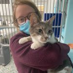 Northeastern Veterinary Care Center