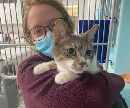 Northeastern Veterinary Care Center