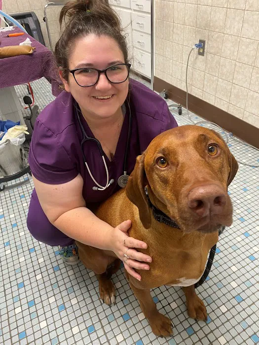 Northeastern Veterinary Care Center Picture 6