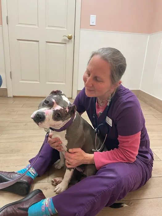 Northeastern Veterinary Care Center Picture 4