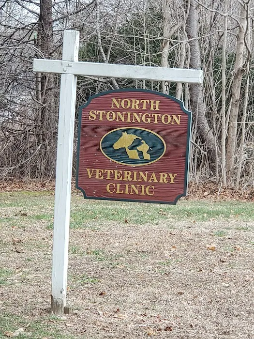 North Stonington Veterinary Pc Picture 3