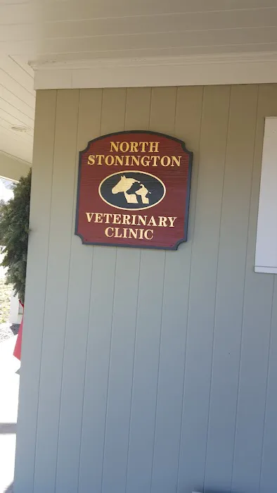 North Stonington Veterinary Pc Picture 5