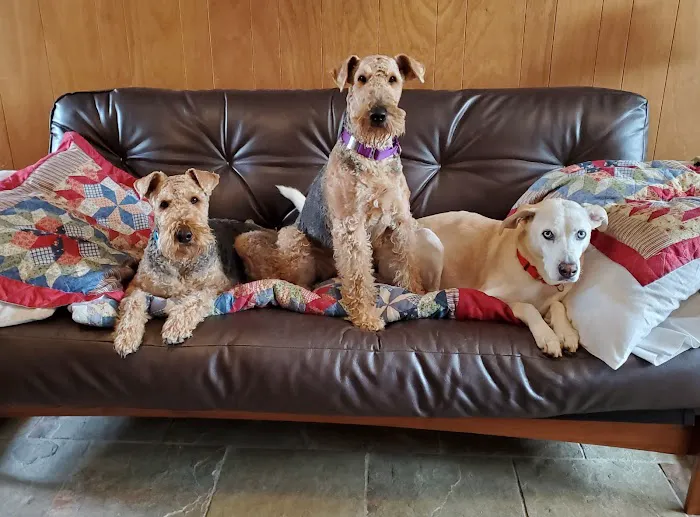 Stonington Veterinary Hospital Picture 5