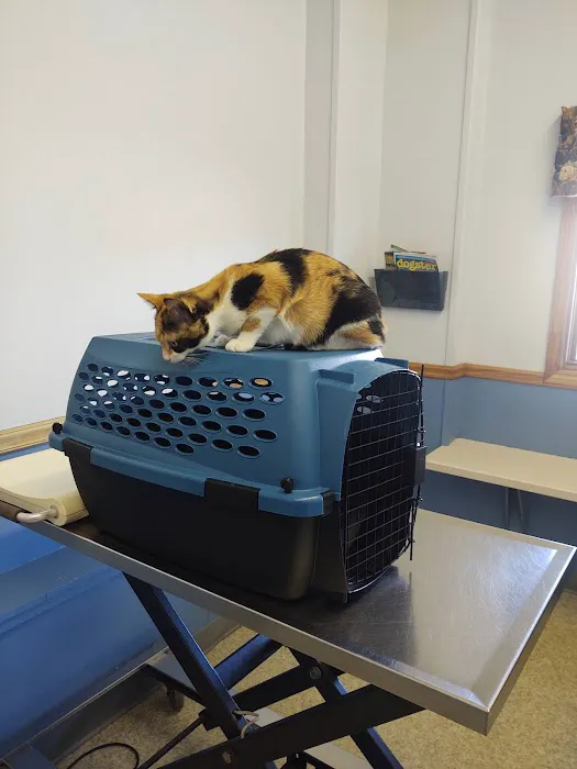 Cobalt Veterinary Clinic Picture 1