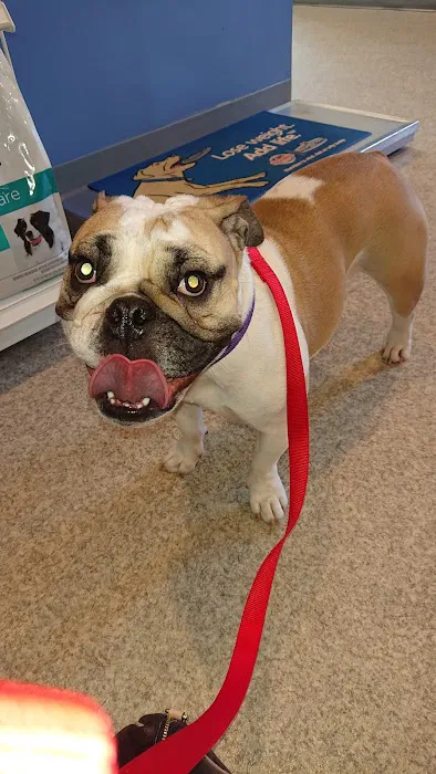 Cobalt Veterinary Clinic Picture 4