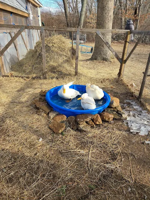 Lebanon Veterinary Hospital Picture 4