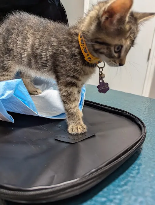 Lebanon Veterinary Hospital Picture 5