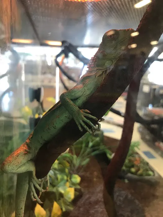 Petco Picture 8