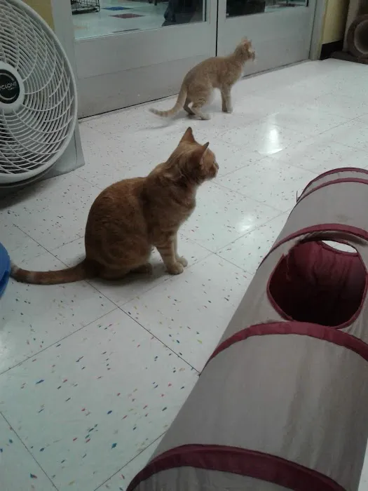 Petco Picture 7
