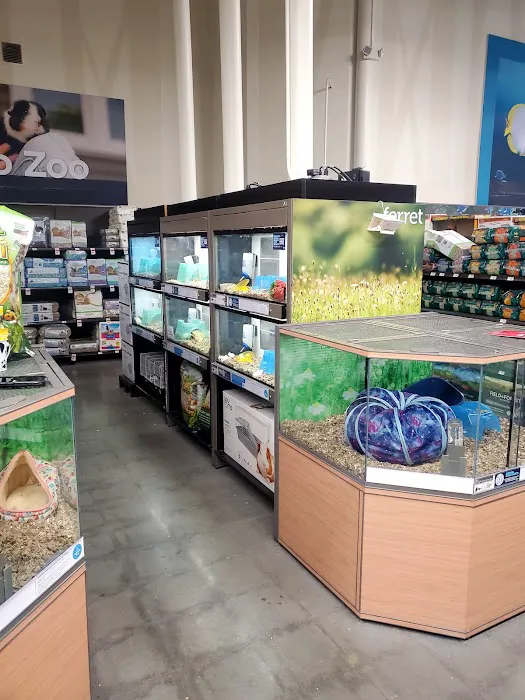 Petco Picture 2