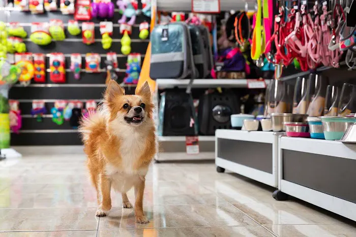 Paw Pets Store Picture 1