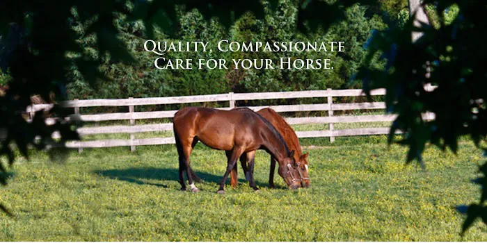 Twin Pines Equine Vet Services Picture 5