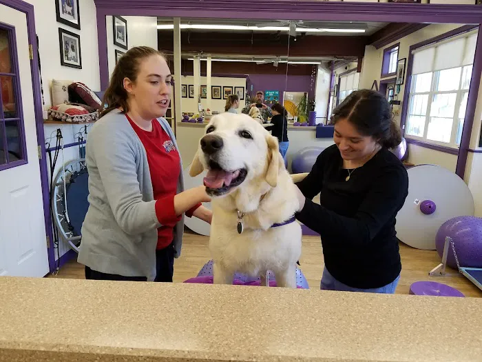Wizard of Paws Physical Rehab Picture 4
