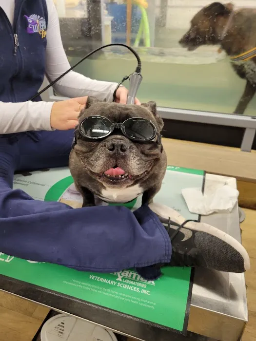 Wizard of Paws Physical Rehab Picture 2