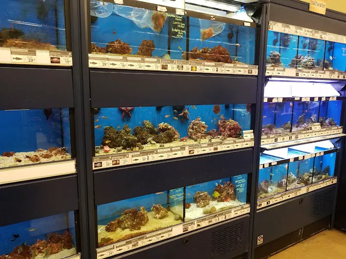 Petco Picture 4