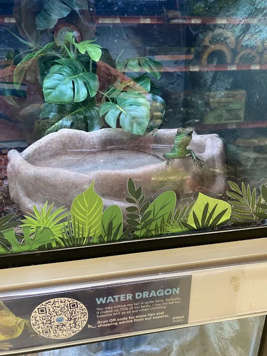 Petco Picture 8