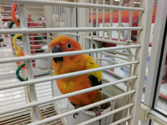 Petco Picture 2