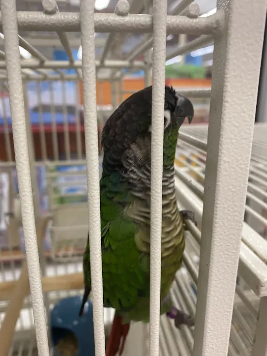 Petco Picture 5