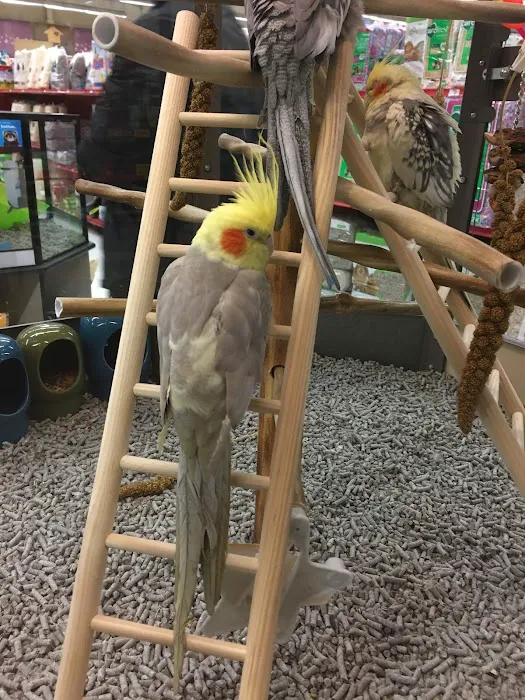 Petco Picture 3