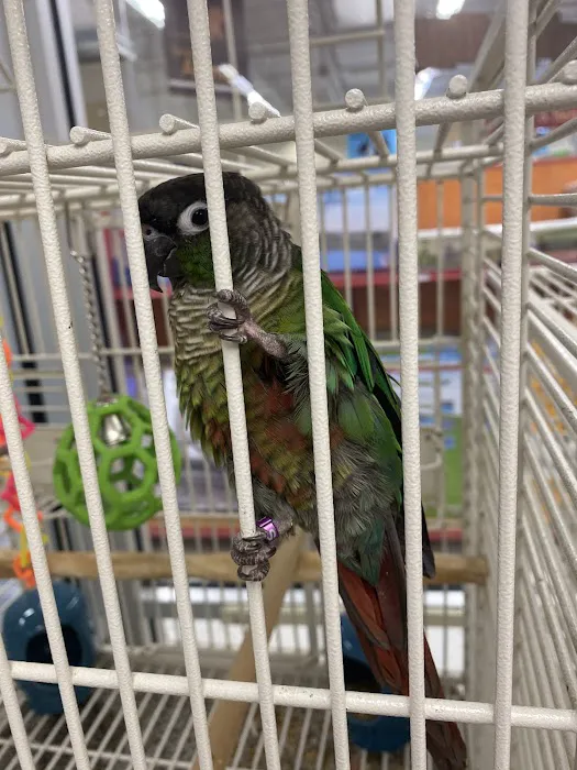 Petco Picture 6