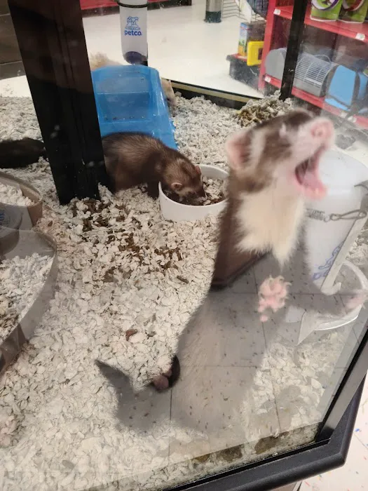 Petco Picture 10