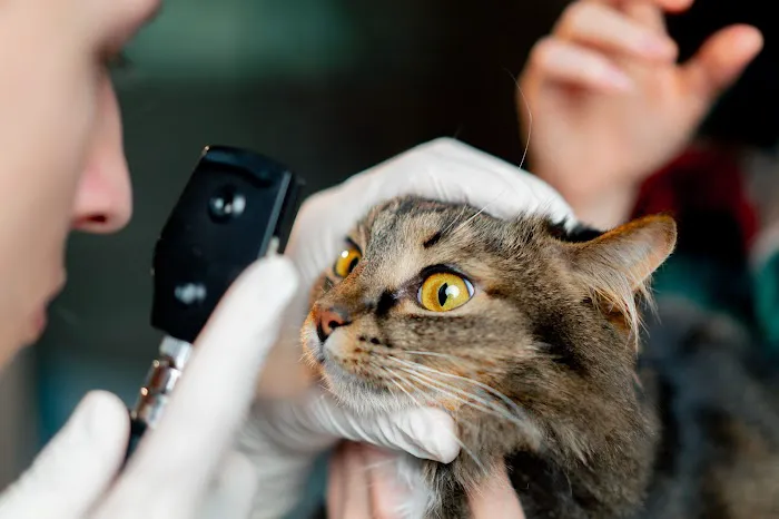 Hebron Veterinary Hospital Picture 4