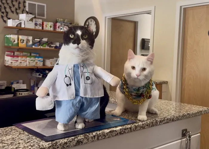 Hebron Veterinary Hospital Picture 7