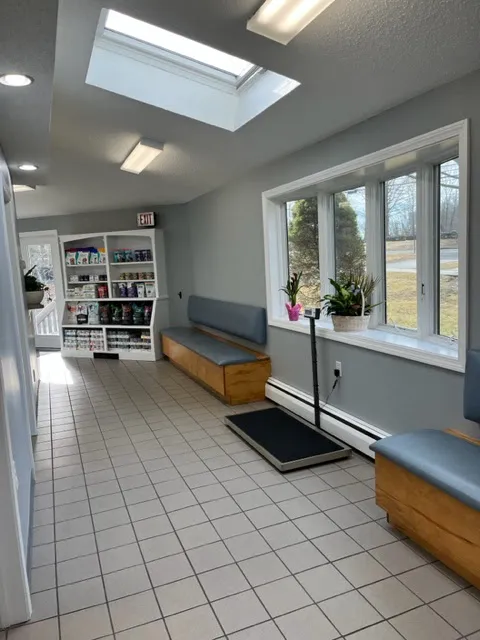 Glastonbury Animal Hospital of Marlborough Picture 5